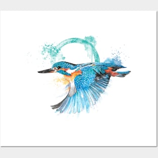 Kingfisher in Flight Posters and Art